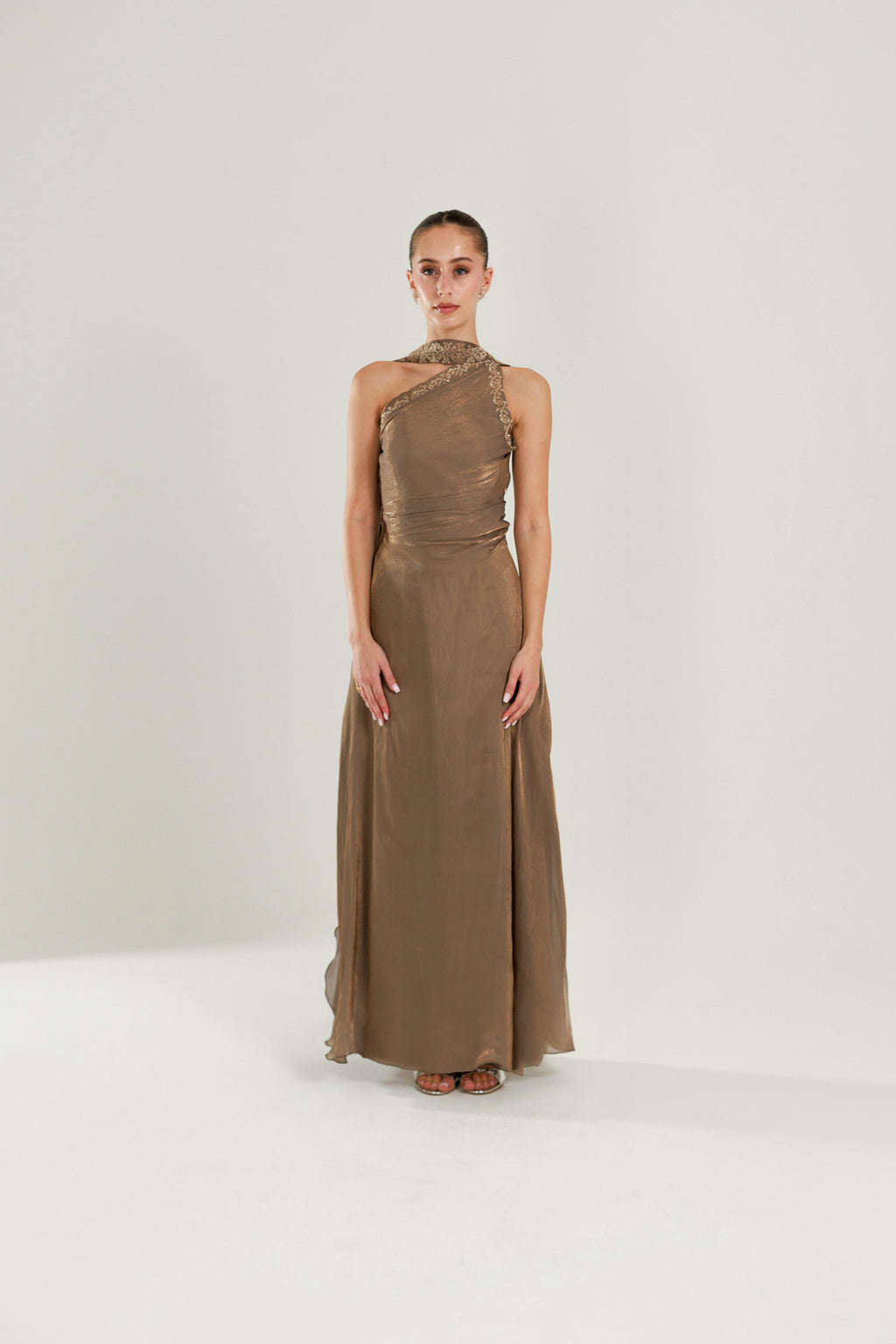 The Meera - Hand Embroidered Organza Dress