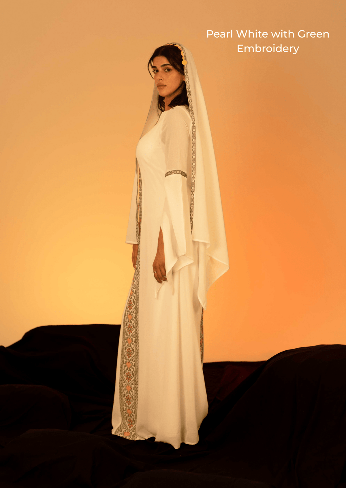 Shawl with Coins - Deerah