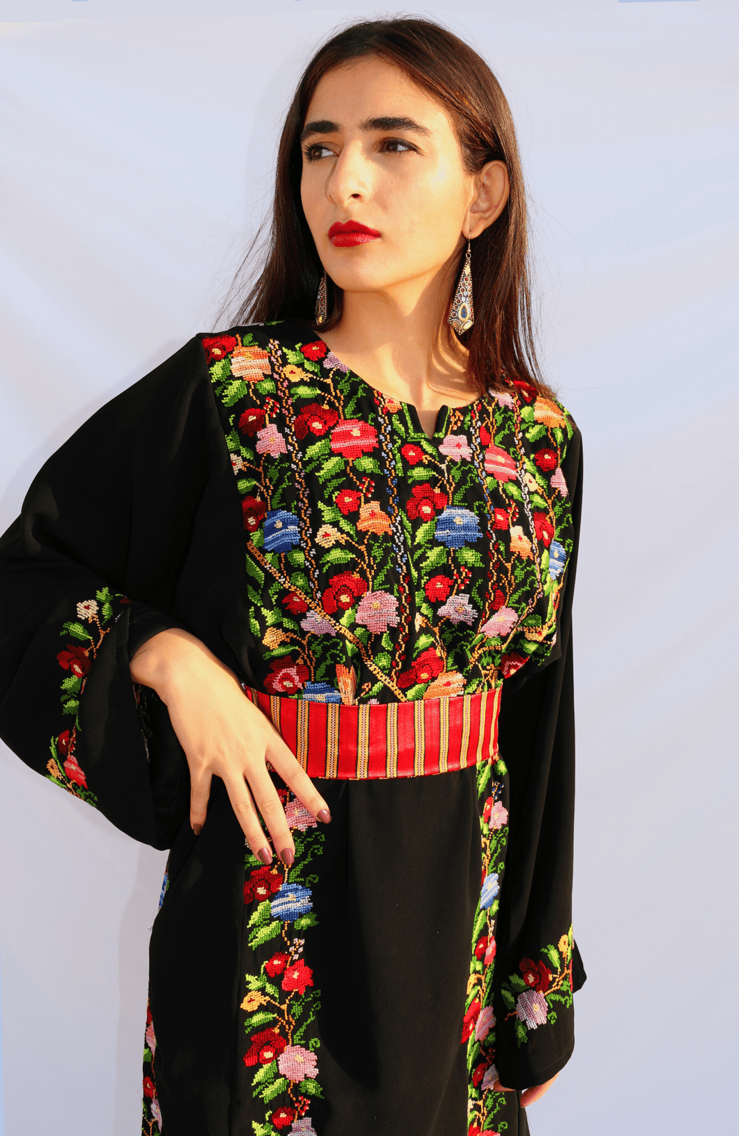 Palestinian Embroidered Dress  Traditional Dress main image 0